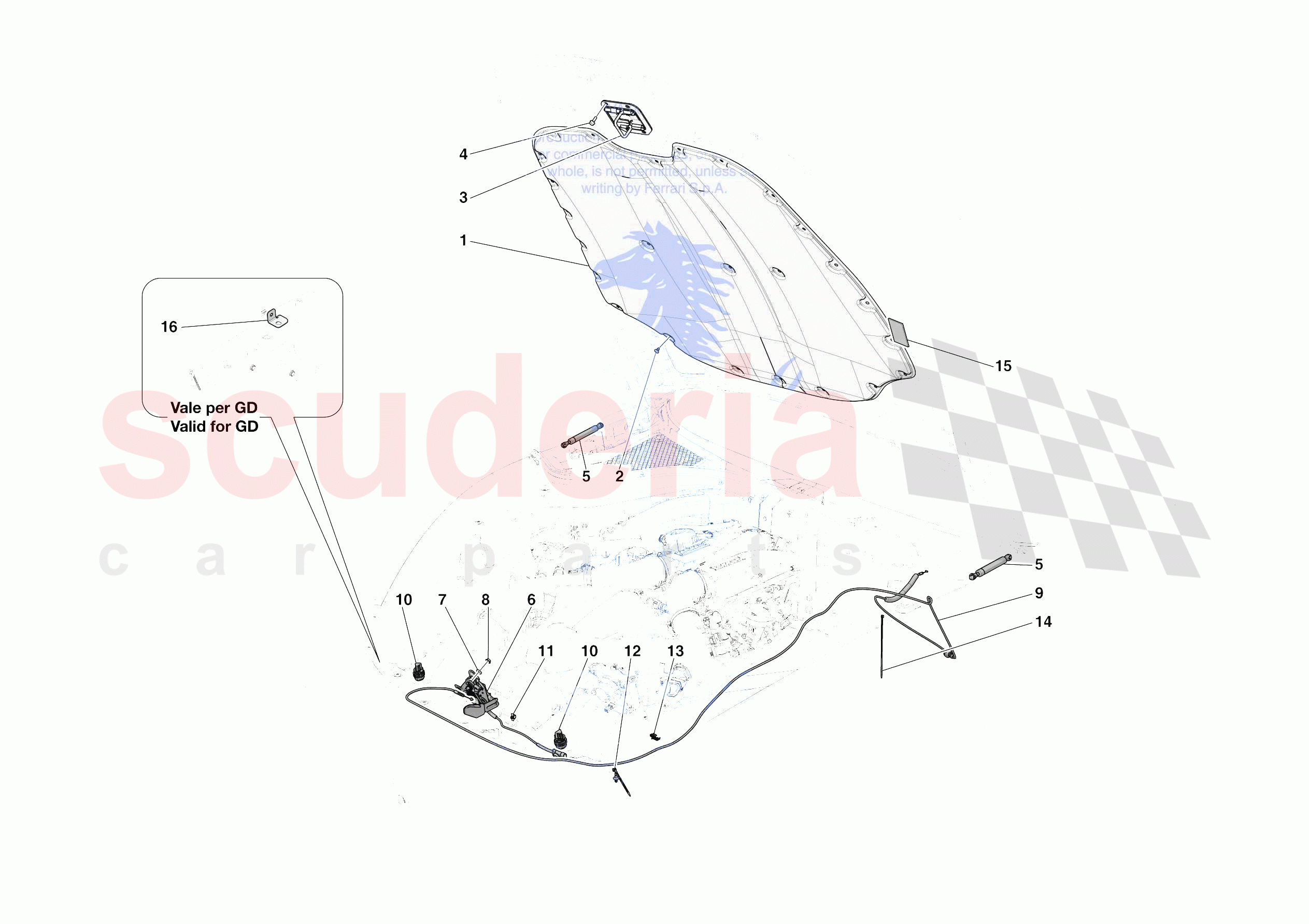 FRONT LID TRIM of Ferrari Ferrari Roma Spider Europe RH