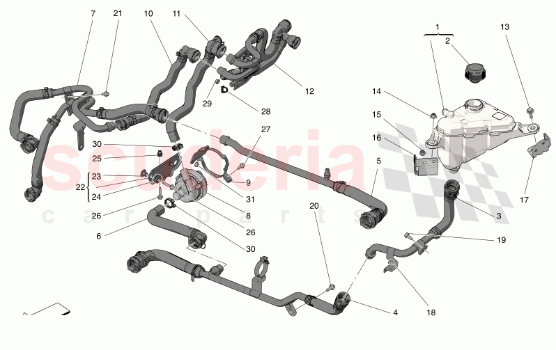 COOLING SYSTEM: NOURICE AND LINES of Maserati Maserati Grecale Modena Automatic 2.0 T4 4WD 330HP MHEV