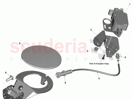 Photo of CD33 9N447…