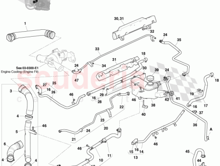 Photo of CD33 8C363…