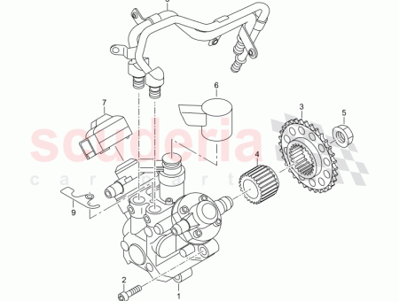 Photo of NUT WHT 002…