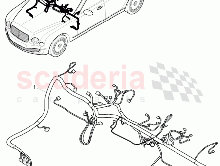 Photo of D 15 05 2017 F 3Y J 003…