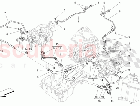 Photo of COLLARD 13 14…