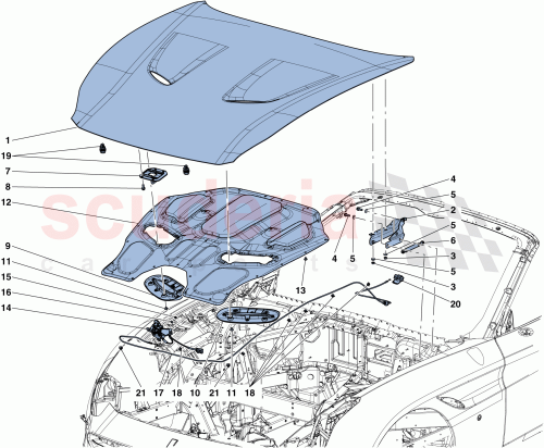 Part Diagram for Ferrari 85312411