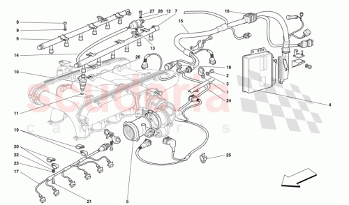 Part Diagram for Ferrari 170134